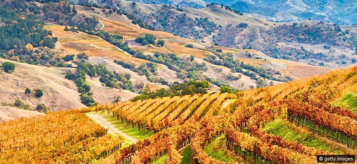 alexander valley of sonoma county located on the noth coast of california