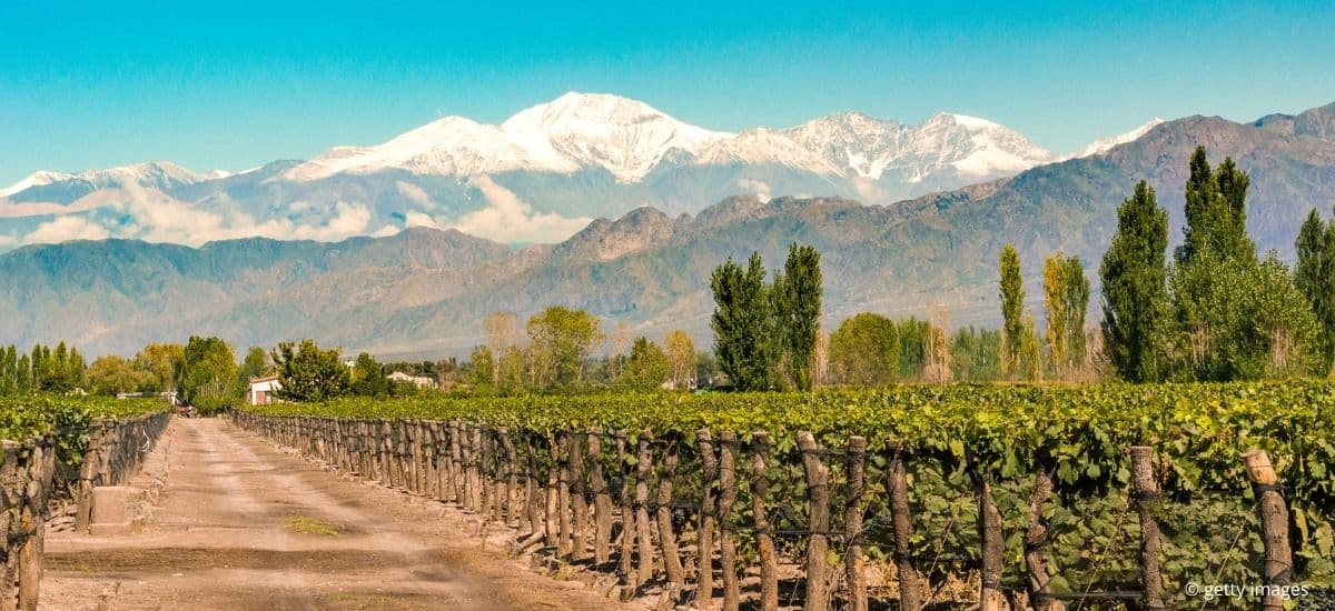 mendoza argentina and the andes mountians