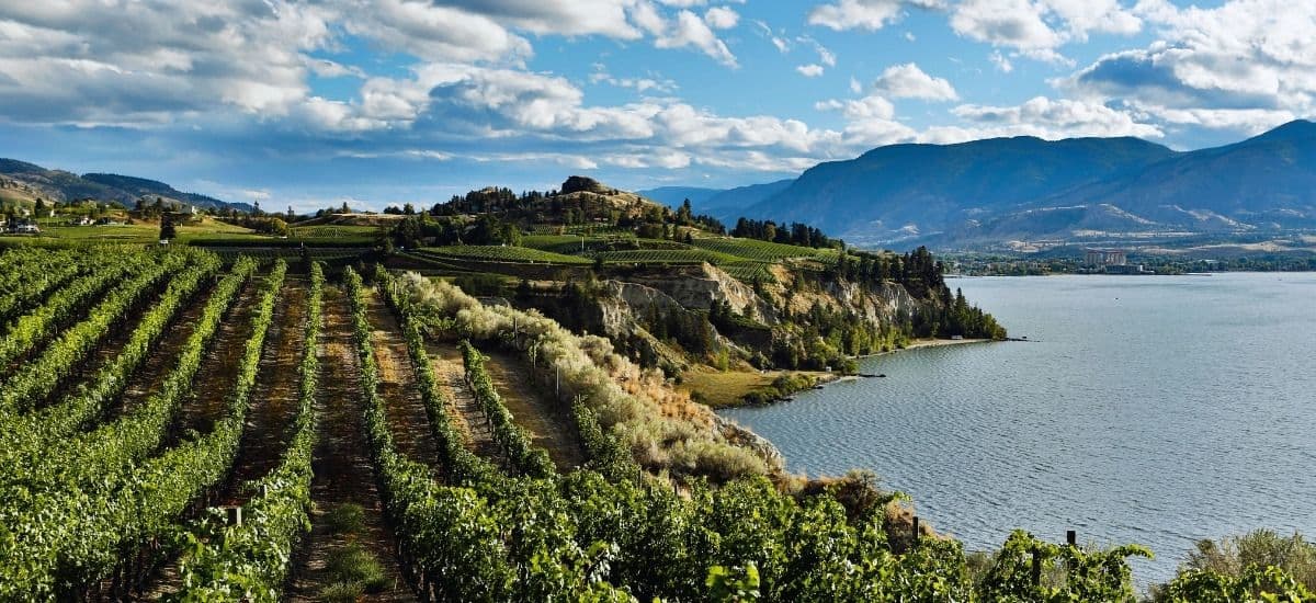 The Okanagan Valley wine region