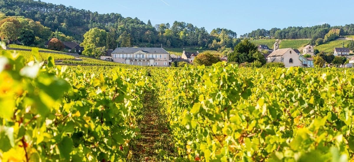 burgundy france wine estate