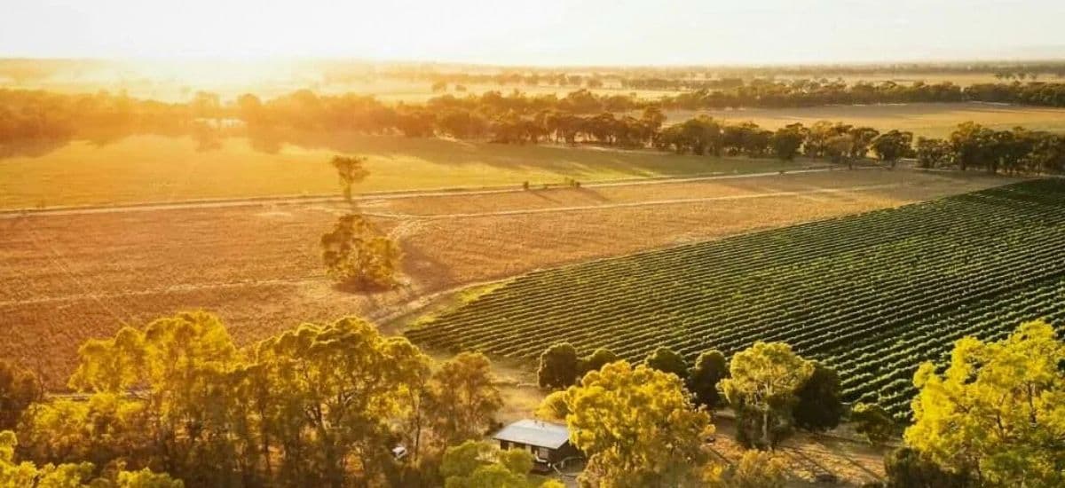 the area of rutherglen australia and the vineyards of the region