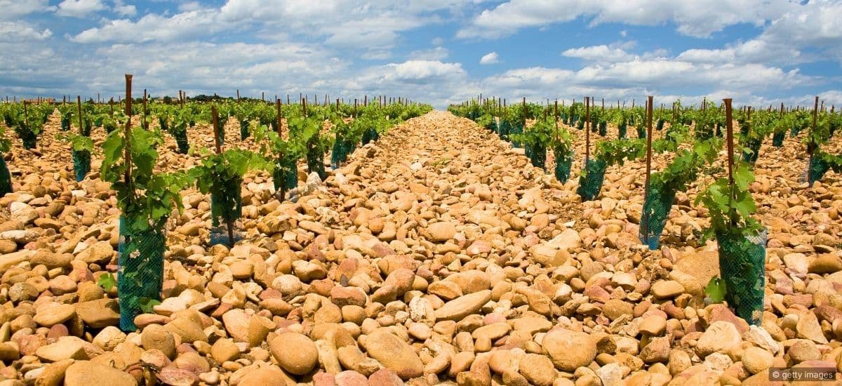 vineyard stones in the rhone valley of france