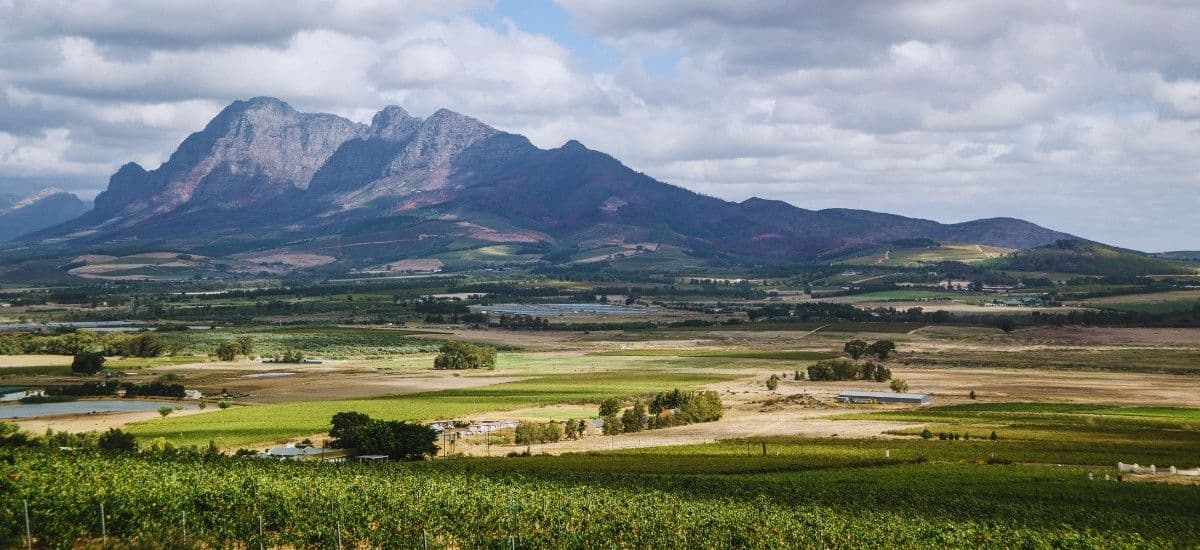 paarl region of south africa