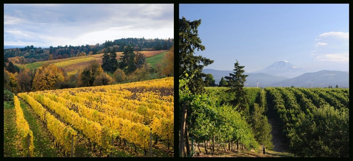 the willamette valley of oregon