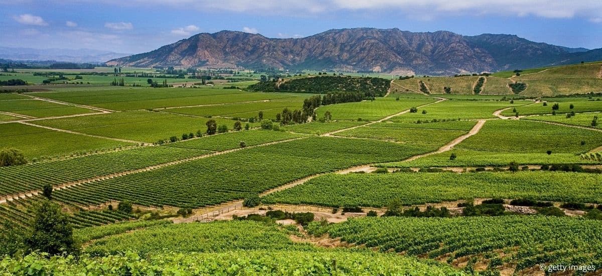colchagua valley of chile and the vineyards of the region