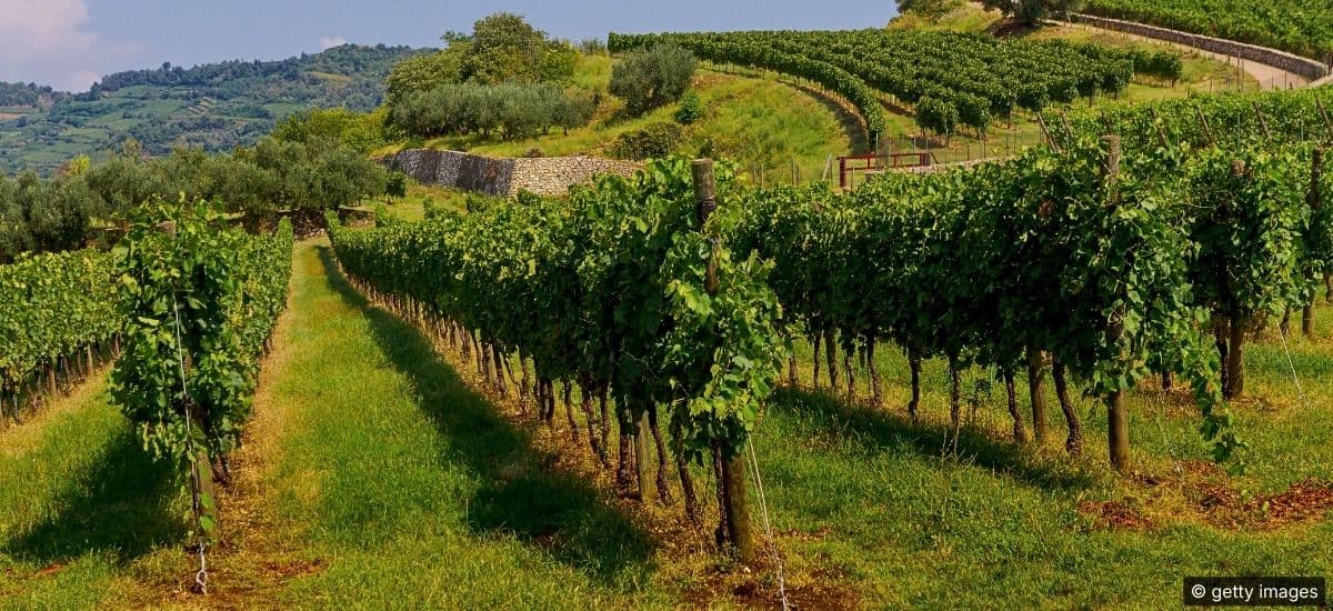 the veneto region of italy