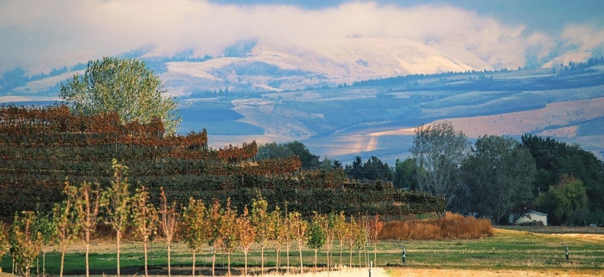 walla walla valley ava in washington state