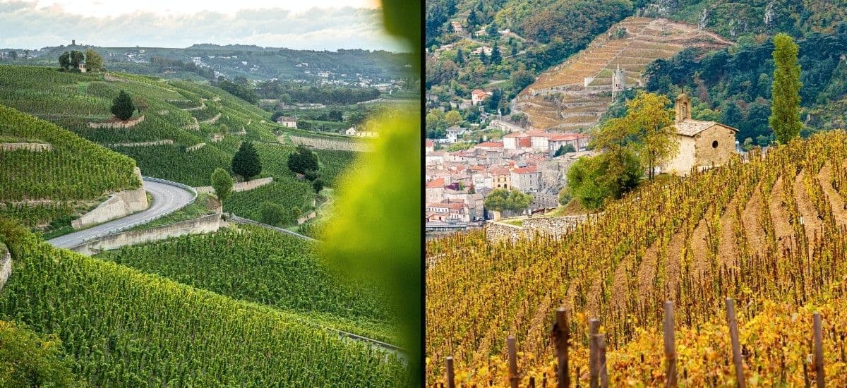 northern rhone valley wine hermitage