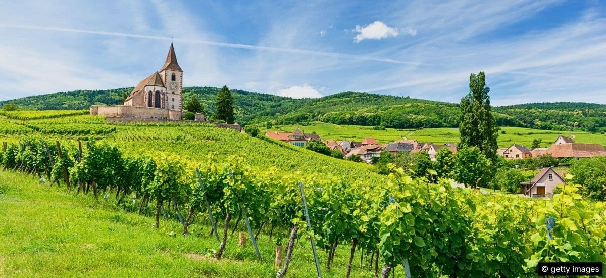 the alsace region of france and the grand cru vineyards
