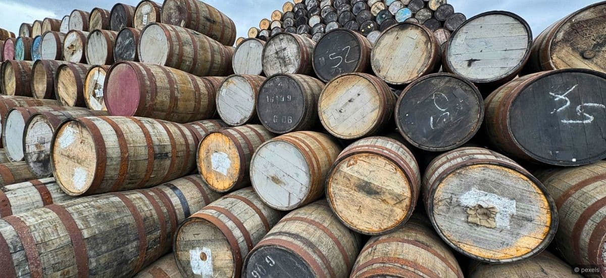 oak barrels in scotland from whisky production