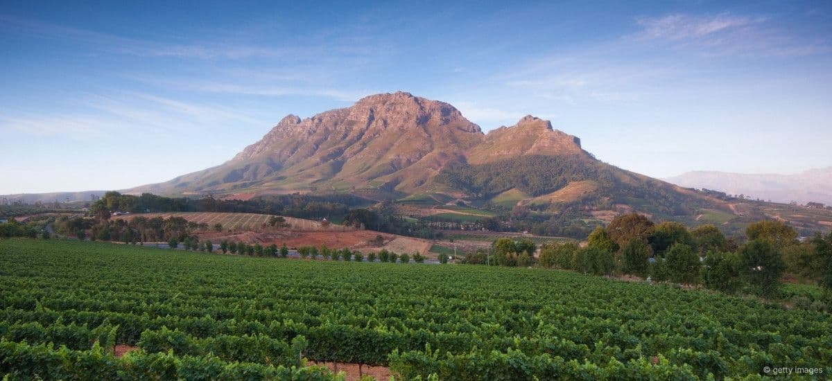 the stellenbosch area of south africa
