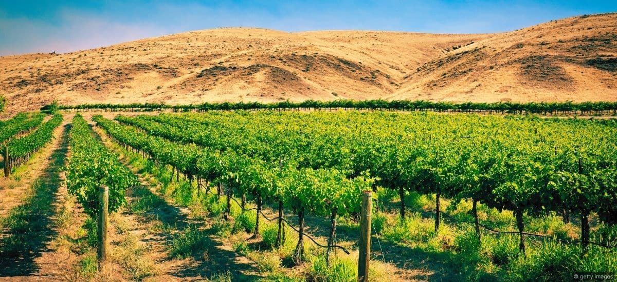 red mountain of washington state